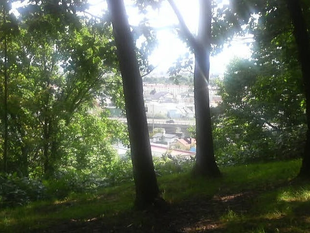 �t�������
_�t�������