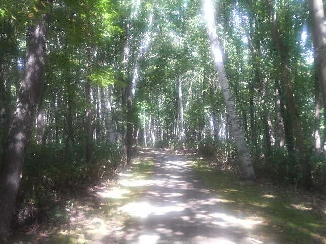 �t�������
_�t�������