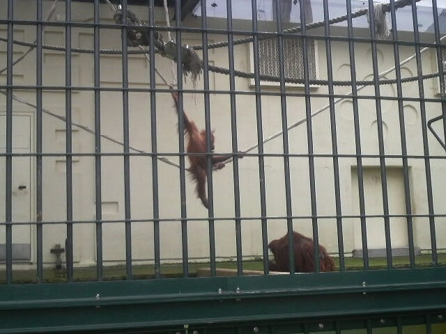 ���R������
_���R������