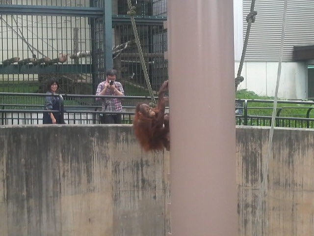 ���R������
_���R������