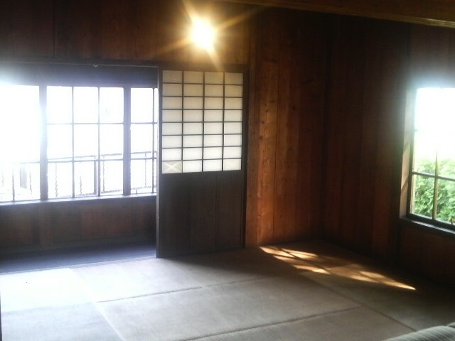 Ƃ񂳂̏S_쎎̓eʐ^5