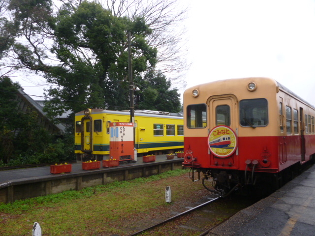 �I�_�@�㑍����w�ł̏����S���Ƃ̃R���{_�����ݓS��