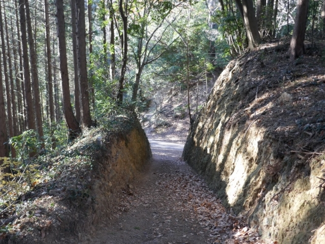 ܁`ځ`̃O[Cɉ݂̓eʐ^1