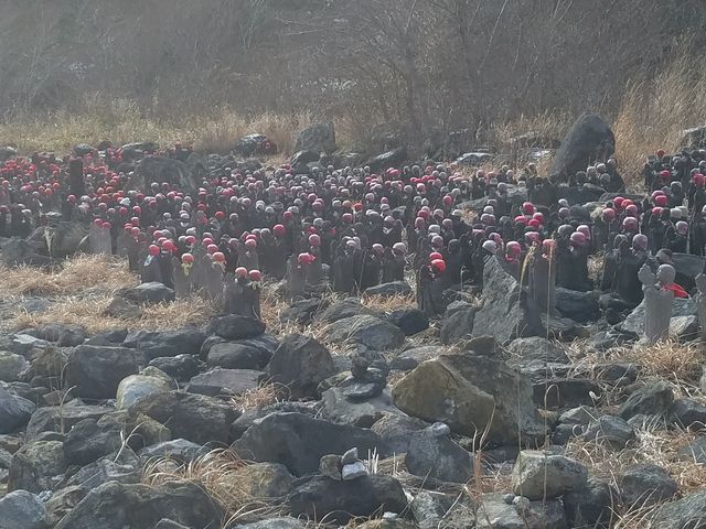�E����?�W�]��V����