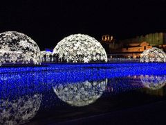 v[񂳂̃O[ie{X OiVAւ̓eʐ^1