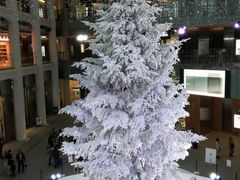 kellyKITTEۂ̓ւ̓eʐ^1