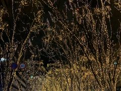 Ƃ񂳂̒Tʂւ̓eʐ^1