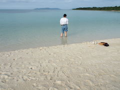 ܂悳̃RhCr[`ւ̓eʐ^1