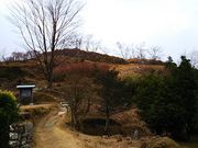 ˂񂳂̐Ԗ؏Ղ̓eʐ^2