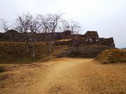 ˂񂳂̐Ԗ؏Ղ̓eʐ^3