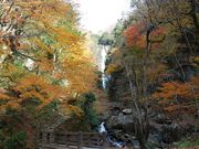 ݂U񂳂̐_̑̍gt̓eʐ^1