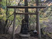 MAMORU̐[Rb̏h̓eʐ^1