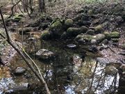 MAMORU̐[Rb̏h̓eʐ^2