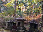 MAMORU̐[Rb̏h̓eʐ^4