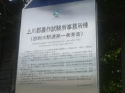 Ƃ񂳂̏S_쎎̓eʐ^2