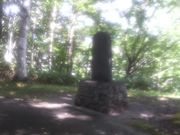 Ƃ񂳂bԊ񐶖؂䂩̒n̓eʐ^1