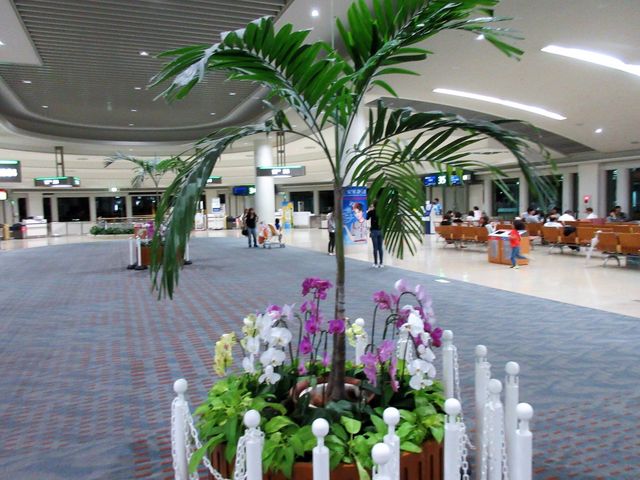 2017N10Bejuߔe`v_ߔe`