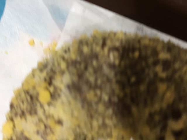 }񂳂̃~X^[h[icJpj[CIŕlVbv̓eʐ^1