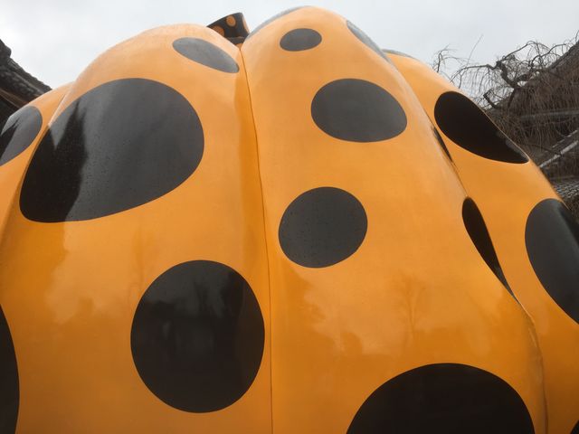 ���ڂ���_�_���b���̕�����i�ꎞ�x�فj