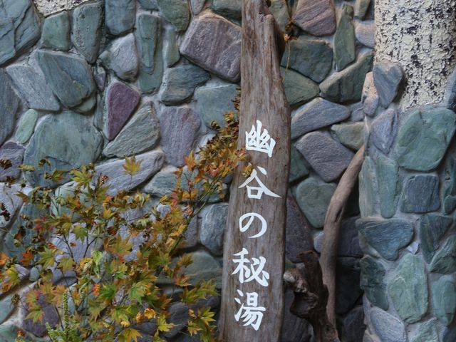 �H�J�̔铒_��������