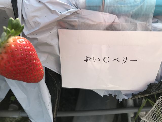 ���߂ĐH�ׂ��B_�`�m�m