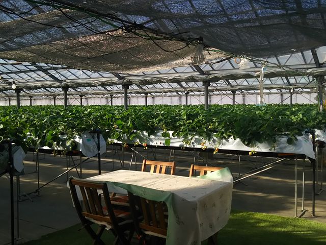 �Ƃɂ����Y��ł��B_���R��������