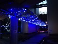 �̂قق�C������̍�ʃs�[�X�~���[�W�A���i��ʌ����a�����فj�ւ̓��e�ʐ^1