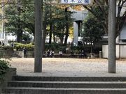 cinnamon����̔��،����̓��e�ʐ^1