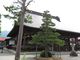 キヨさんの本光寺（岐阜県飛騨市）の投稿写真2
