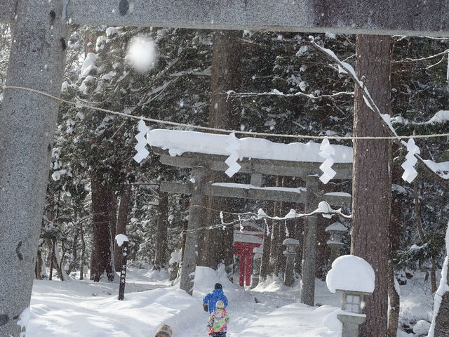 �C�����̗ǂ���̒��̎U��_�s���̑�