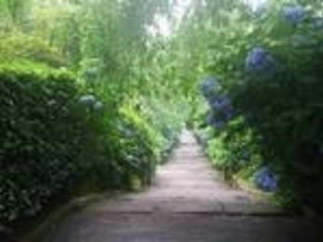 ���z��_�뉀(�����@�j