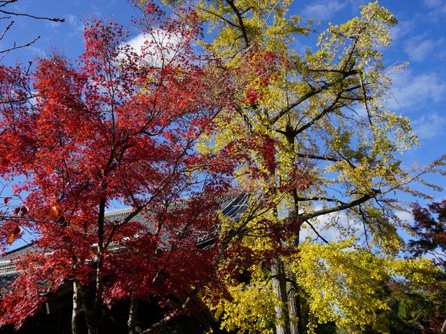 �����̍g(��)�t_����߉ޓ��i���y���j