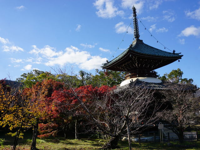 ��d���t�߂̍g�t_����߉ޓ��i���y���j