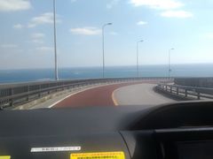 �j���C�J�i�C���̎ʐ^1