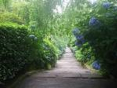 �v�[���񂳂�̒뉀(�����@�j�ւ̓��e�ʐ^1