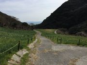 �䂫�Ȃ���̗��쐅�勽�̓��e�ʐ^1