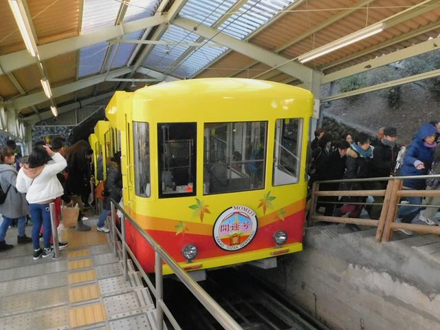 �P���S���̒��X�������炢�ł��B
���\����ł��܂��B_�����R