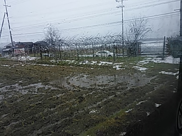 ̕ӂ@oX҂ɂ́@₵܂_s{O㋽y