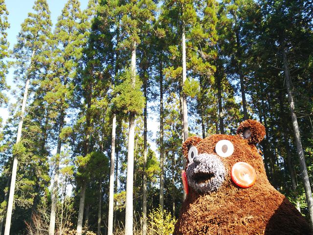 ���܃��������o�}��_�烖������@�@���E�F�u����̎��O�\�񐧂ɂ������ƂȂ��Ă���܂��B