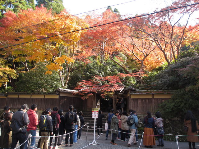 ������ŗ������ď��ԑ҂���_�ڗ����@