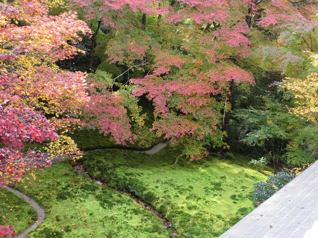 �������g�t�����뉀_�ڗ����@