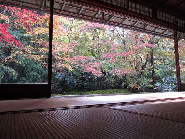 �P�K�a������̍g�t������_�ڗ����@