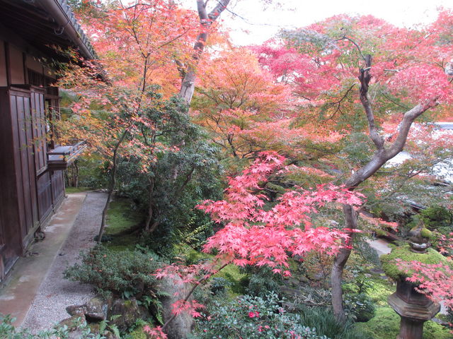 �O�̒뉀_�ڗ����@