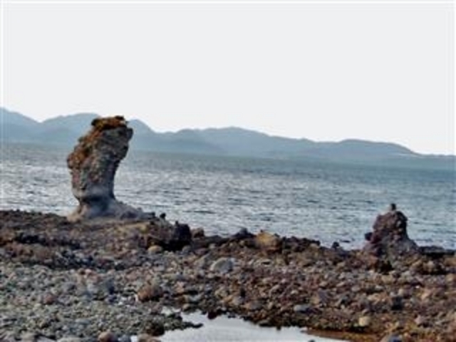 2018Ńuqi޲܁jvij_q