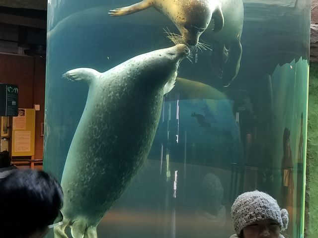 �A�U���V��_���R������