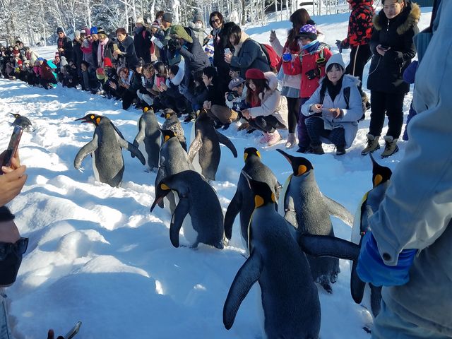 �y���M���p���[�h_���R������