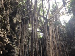 hirokõKK[̒Jւ̓eʐ^1