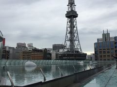 ق܂܂̃IAVXQPւ̓eʐ^1