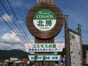 J`̃RXX̗YiӂꂠZ^[̓eʐ^1