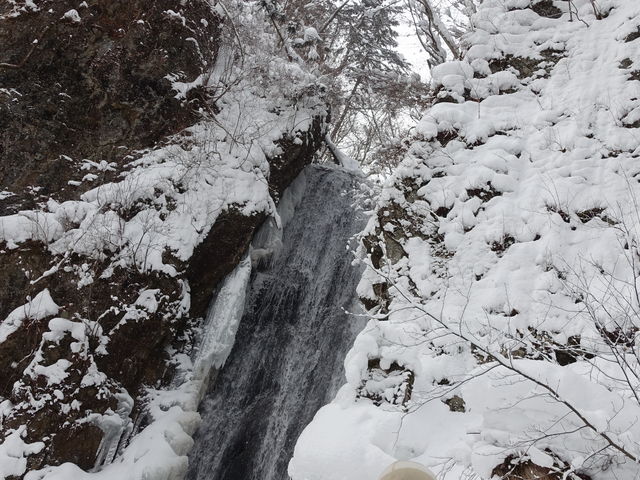 �����ɓ�����ĕ����ƁA���͂̂���ꂪ����܂�_�s���̑�